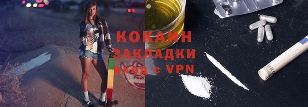 спайс Богданович