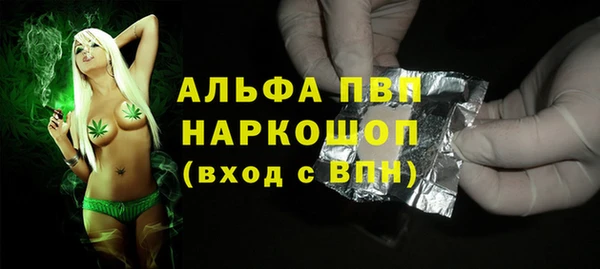 спайс Богданович