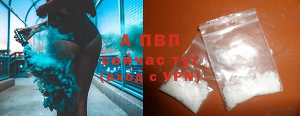 спайс Богданович