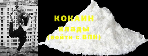 спайс Богданович
