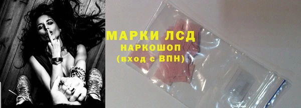 спайс Богданович
