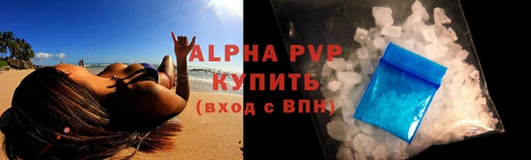 спайс Богданович