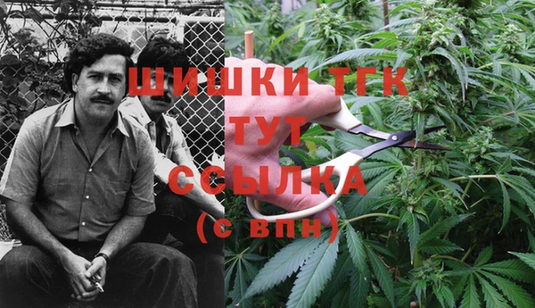 кокс Богородицк