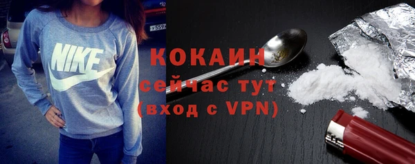 кокс Богородицк