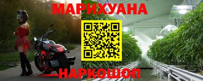 сатива Заволжье