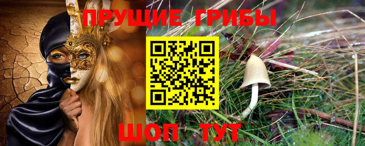 Наро-Фоминск  Псилоцибиновые грибы прущие грибы  Вход с VPN 